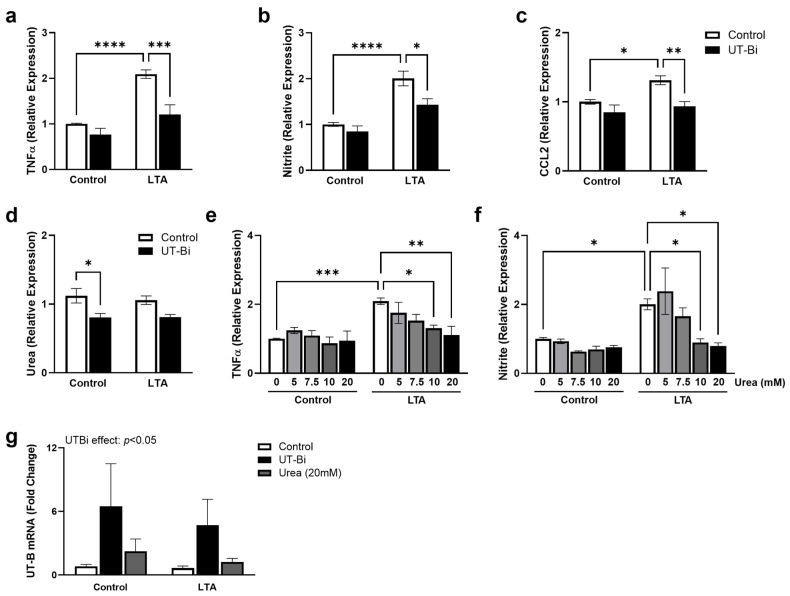 Modulation of Urea Transport Attenuates TLR2-Mediated Microglial Activation and Upregulates Microglial Metabolism In Vitro.