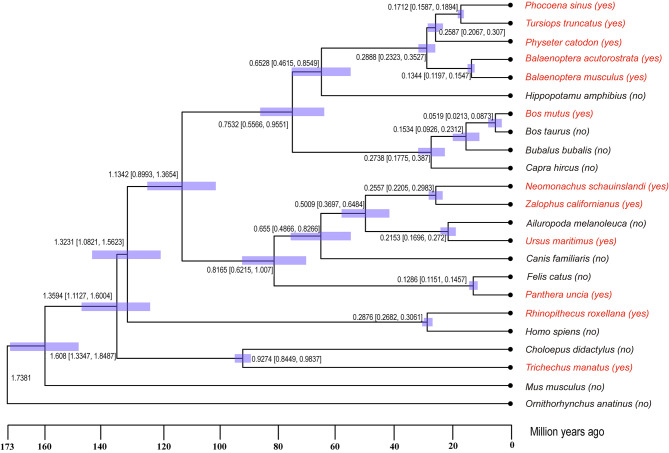 Convergent evolution in high-altitude and marine mammals: Molecular adaptations to pulmonary fibrosis and hypoxia.