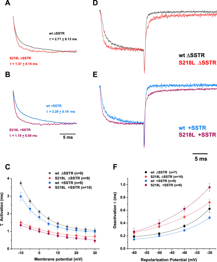 A structural analysis of the splice-specific functional impact of the pathogenic familial hemiplegic migraine type 1 S218L mutation on Ca<sub>v</sub>2.1 P/Q-type channel gating.