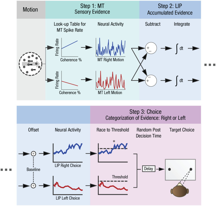A Critical Perspective on Neural Mechanisms in Cognitive Neuroscience: Towards Unification.