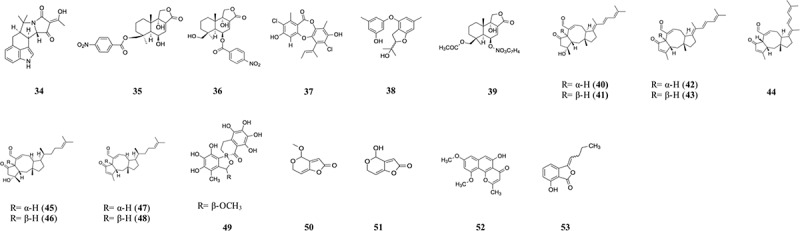 Marine-derived fungi from the genus <i>Aspergillus</i> (Ascomycota) and their anticancer properties.