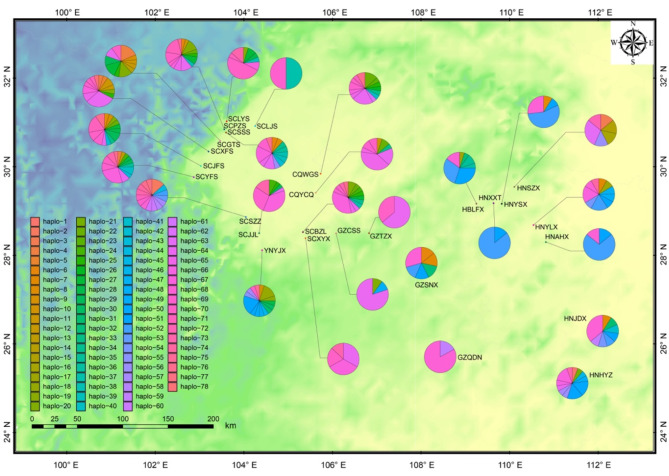 Assessing population genetic structure and diversity and their driving factors in Phoebe zhennan populations.