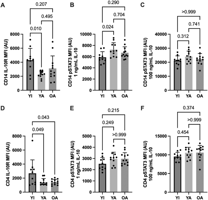 Cross-sectional analysis of blood leukocyte responsiveness to interleukin-10 and interleukin-6 across age and physical activity level.