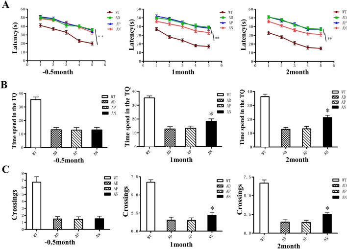 Study on the therapeutic potential of induced neural stem cells for Alzheimer's disease in mice.