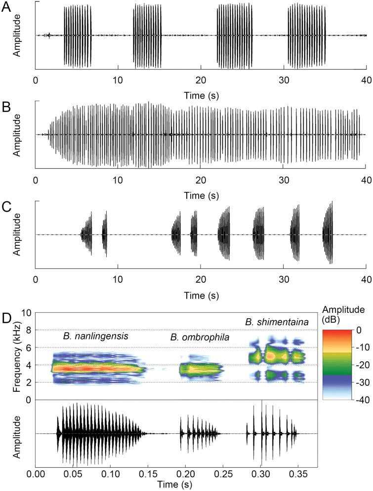Call variation and calling site preference of three sympatric <i>Boulenophrys</i> frogs.
