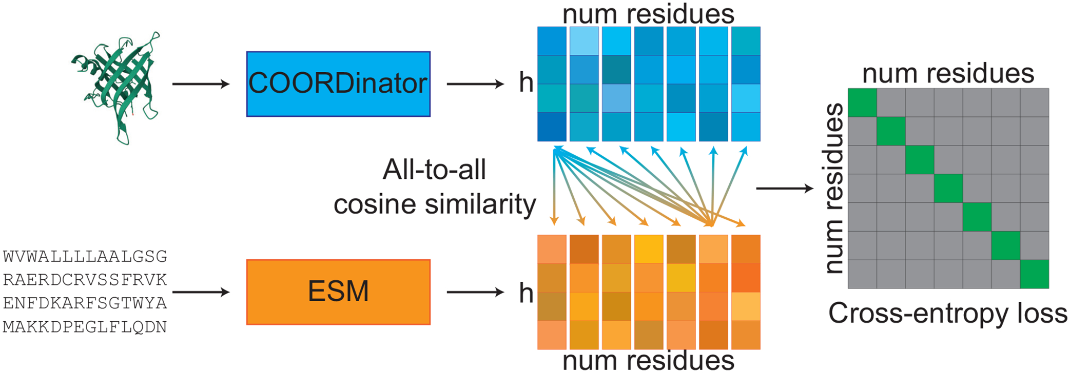 Jointly Embedding Protein Structures and Sequences through Residue Level Alignment.
