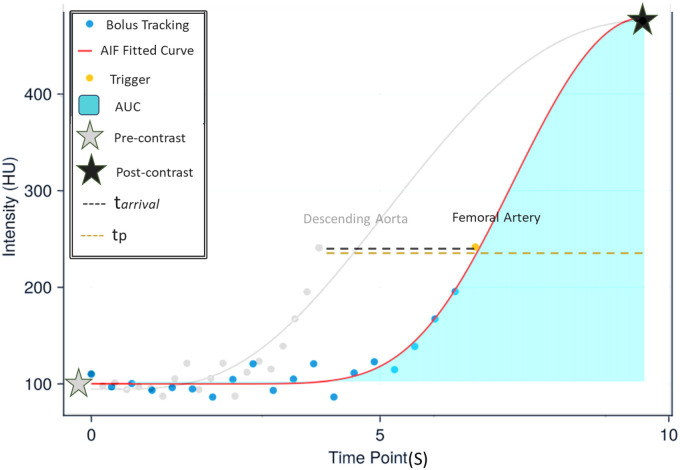 Quantifying lower extremity blood flow using low-dose CT perfusion: validation in a swine model.