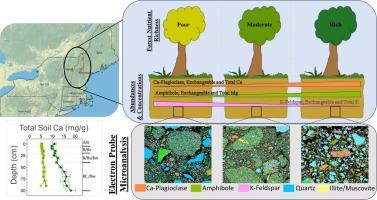 Influence of parent material mineralogy on forest soil nutrient release rates across a nutrient richness gradient