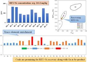 Mineralogy and geochemical controls on the distribution of REY-Ga-Se-Nb enrichment in the No. 6 Coal Seam, Soutpansberg Coalfield, South Africa