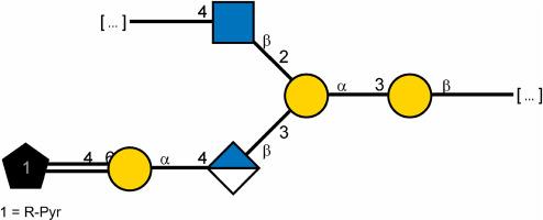 Effect of bacterial dissociation on lipopolysaccharide structure: A study of O-polysaccharide from the marine bacterium Pseudoalteromonas agarivorans KMM 232 (O-form)