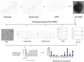 Bile acid conjugated chitosan nanoparticles promote the proliferation and epithelial-mesenchymal transition of hepatocellular carcinoma by regulating the PI3K/Akt/mTOR pathway