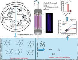 Enhanced degradation of aqueous caffeine via cylindrical dielectric barrier discharge plasma: Efficacy and toxicity insights