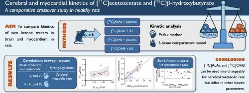 Cerebral and myocardial kinetics of [11C]acetoacetate and [11C]β-hydroxybutyrate: A comparative crossover study in healthy rats