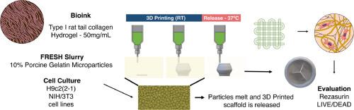 3D printed collagen scaffold for heart valve repair