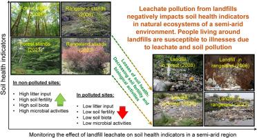 Long-term landfill leachate pollution suppresses soil health indicators in natural ecosystems of a semi-arid environment