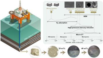 Comprehensive characterizations of core sediments recovered from Shenhu W17 well in South China sea and its impact on methane hydrate kinetics