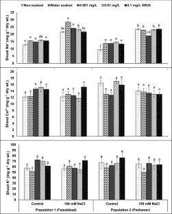 Seed priming with strigolactone GR24 develops tolerance toward salinity in ajwain (Trachyspermum ammi L.) by improving mineral nutrient contents and yield