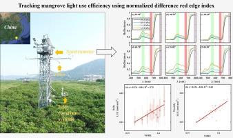 Tracking mangrove light use efficiency using normalized difference red edge index