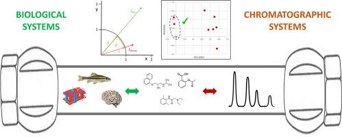 Tutorial on modelling chromatographic surrogation of biological processes