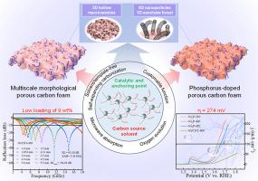 One-step green synthesis of multi-morphological carbon nanotube forests for superior microwave absorption and electrocatalysis