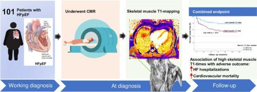 Native skeletal muscle T1-time on cardiac magnetic resonance: A predictor of outcome in patients with heart failure with preserved ejection fraction