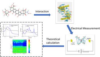 The electric regulation mechanism of drug molecules intercalating with DNA