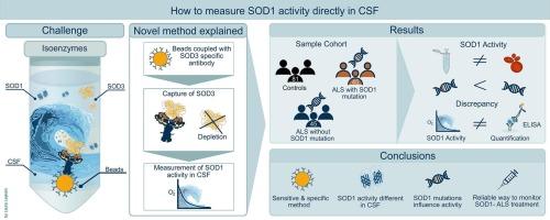 Specific analysis of SOD1 enzymatic activity in CSF from ALS patients with and without SOD1 mutations