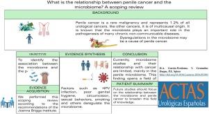 What is the relationship between penile cancer and the microbiome? A scoping review