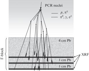 Irregularity in the Primary Cosmic Rays Mass Composition at an Energy of ~10 PeV