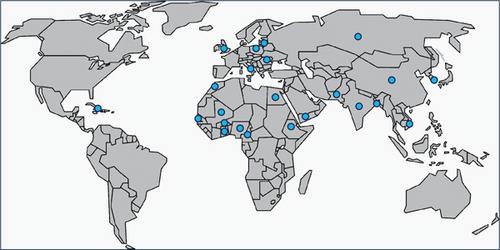 Hepatitis D Virus Status Among People With Hepatitis B Virus Infection: A Disconnect Between Guidelines and Practice