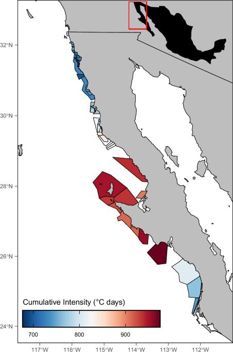 Past and future impacts of marine heatwaves on small-scale fisheries in Baja California, Mexico