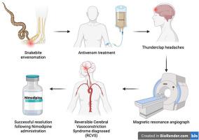 Snakebite-induced reversible cerebral vasoconstriction syndrome: Report of three cases