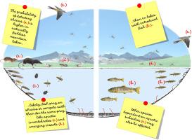 Introduced fish reduce the occurrence of shrews in alpine lakes