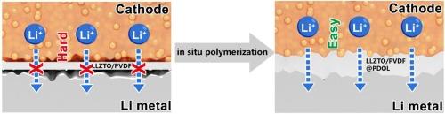 In situ establishment of rapid lithium transport pathways at the electrolytes-electrodes interface enabling dendrite-free and long-lifespan solid-state lithium batteries