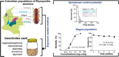 Comparative efficacy of alternative insecticides for Rhyzopertha dominica management in Colombia: Beyond organophosphates and pyrethroids