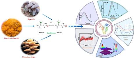 Assessment of the binding mechanism of ergothioneine to human serum albumin: Multi-spectroscopy, molecular docking and molecular dynamic simulation