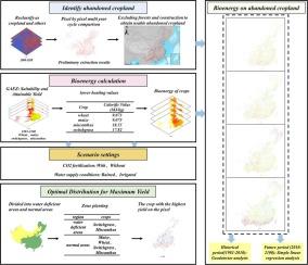 Assessing the bioenergy potential of abandoned cropland in China: Toward an optimal distribution of bioenergy crops