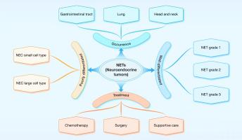 Current perspectives on neuroendocrine tumors