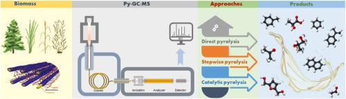 Analytical pyrolysis of biomass using pyrolysis-gas chromatography/mass spectrometry