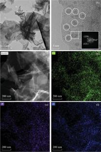 Photocatalytic Activity of Heterostructures Based on Graphite-Like Carbon Nitride Modified with Few-Layer Black Phosphorus and Cobalt Phosphide in the Hydrogen Evolution Reaction