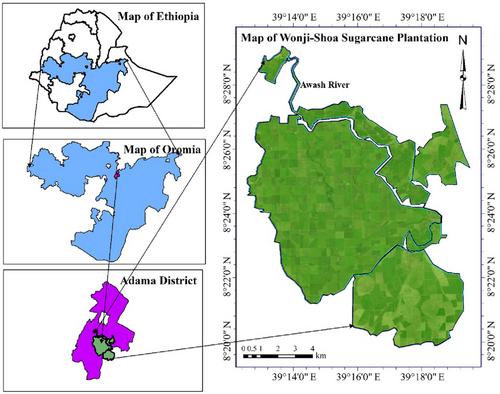 Changes in the population and diversity of plant parasitic nematodes and their effects on sugarcane growth at Wonji-Shoa Sugar Estate, Ethiopia