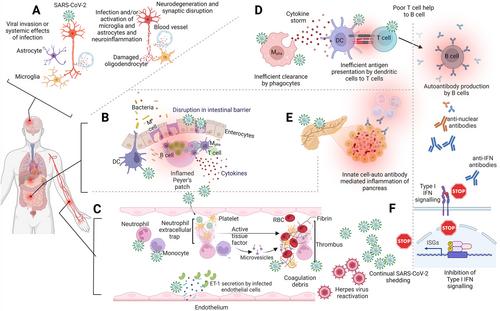 Beyond acute infection: mechanisms underlying post-acute sequelae of COVID-19 (PASC)