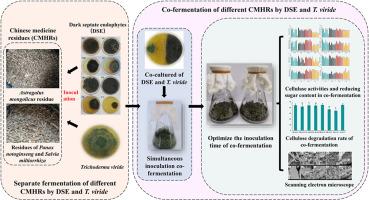 Co-fermentation of dark septate endophytes and Trichoderma viride can effectively degrade cellulose in different Chinese medicinal herbal residues