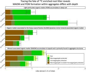 Depth impacts on the aggregate-mediated mechanisms of root carbon stabilization in soil: Trade-off between MAOM and POM pathways