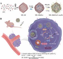 Engineered nanoplatform mediated gas therapy enhanced ferroptosis for tumor therapy in vivo