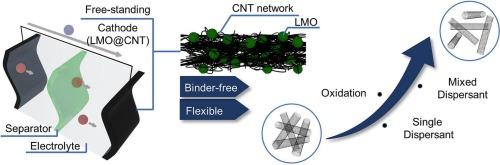 Enhancing the electrochemical performance of free-standing electrodes using multi-walled carbon nanotubes functionalized with PVP/SDBS mixed dispersant