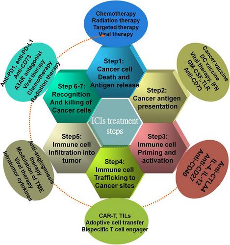 Challenges and advances of immune checkpoint therapy