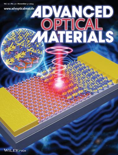 Polarization-Sensitive Self-Powered Photodetector Based on Anisotropic/Isotropic ReS2/SnSe2 Van der Waals Heterojunction (Advanced Optical Materials 31/2024)