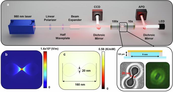 Energy landscape of conformational changes for a single unmodified protein