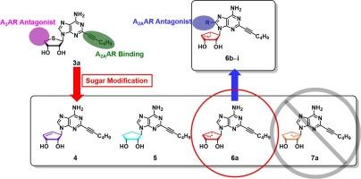 Synthesis and biological evaluation of sugar-modified truncated carbanucleosides as A2A and A3 adenosine receptor ligands to explore conformational effect to the receptors